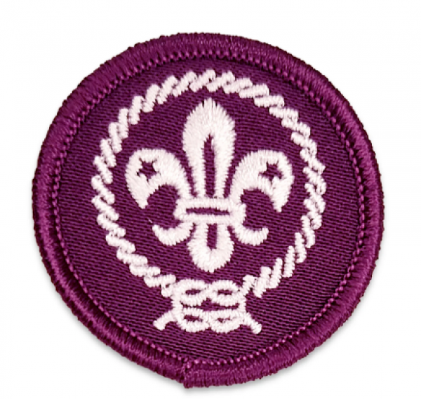 verkenner badge